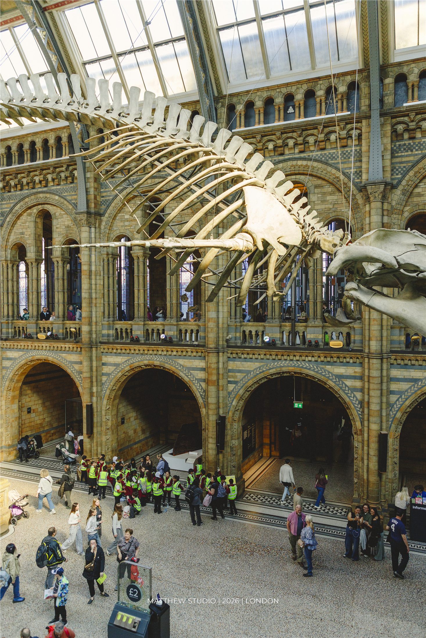 Natural History Museum